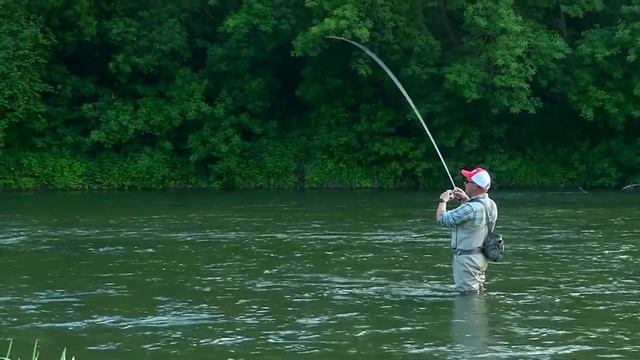 Голавль в начале лета. Черноземье. Колебло рулит! смотреть онлайн