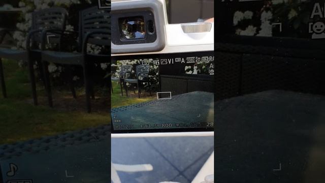 nikkor 11-27.5mm - wada 2 смотреть онлайн