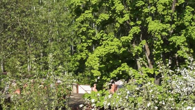 Вид с балкона (дача в лесу) смотреть онлайн