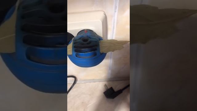 Лавровый лист отпугивает комаров смотреть онлайн