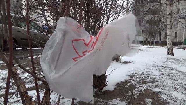 Загрязнение окружающей среды