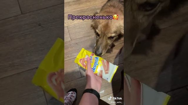 когда лень смотреть онлайн