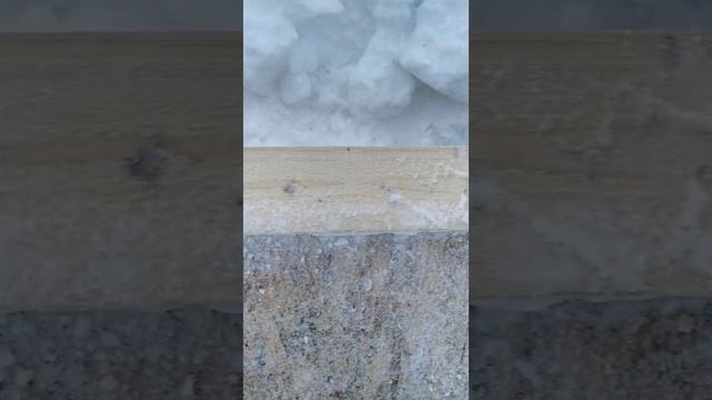 Продолжаю строительство своего курятника зимой, установил первую стену. смотреть онлайн