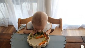 С ЧЕГО НАЧАТЬ ПРИКОРМ? НАШ ОПЫТ САМОПРИКОРМА, КУСОЧКИ В 6 МЕСЯЦЕВ