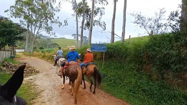 CAVALGADA NO REFÚGIO HORSE .SANTO ANTÔNIO DO PINHAL смотреть онлайн
