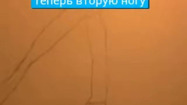 Как нарисовать лошадь смотреть онлайн