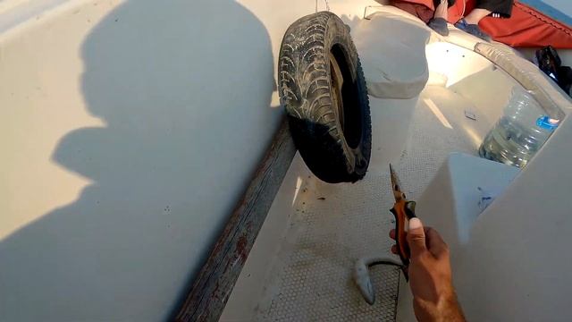 BU BALIK ÇOK TEHLİKELİ !! ÖLDÜREBİLİR ! TRAKONYA! Trachinus Draco смотреть онлайн