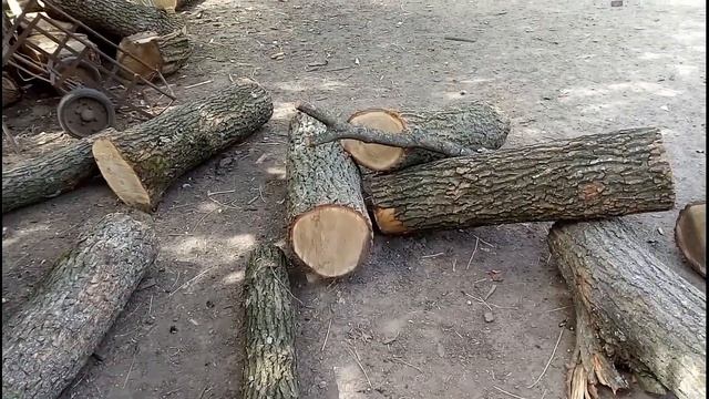 Купили дрова,обзор на мою швейную машинку. смотреть онлайн