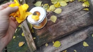 Воздушный фильтр для снегоуборщика