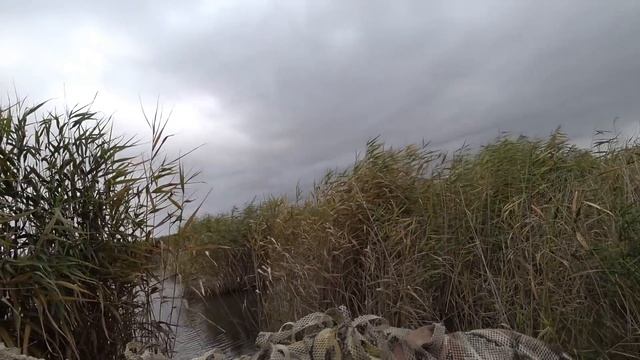 Охота 2021 осень !Отличная утрянка! смотреть онлайн