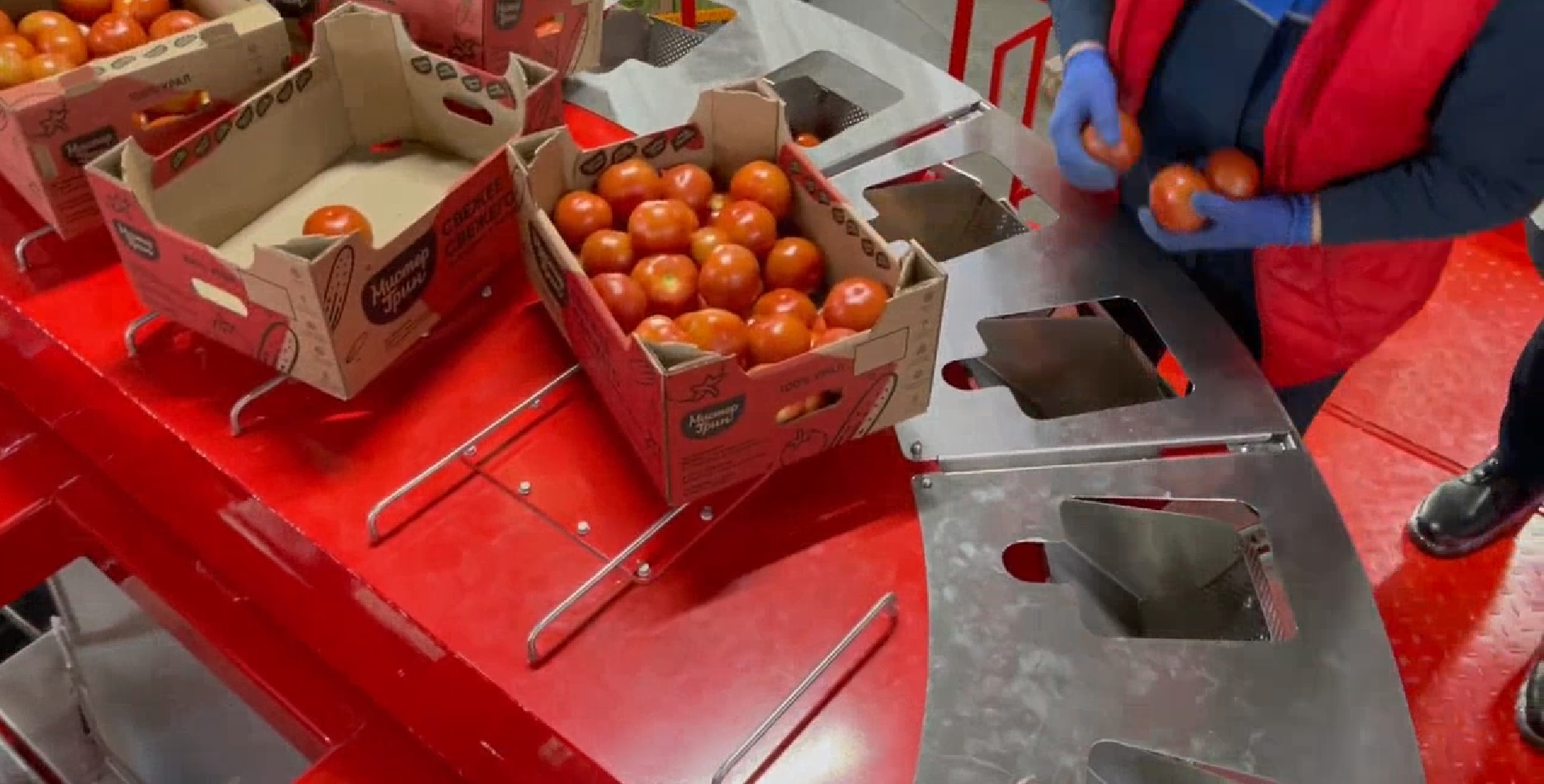 Дозирование помидоров и огурцов смотреть онлайн