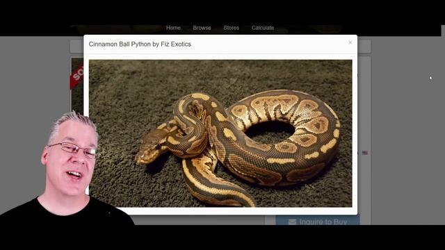 The 'Wookie' Ball Python! смотреть онлайн