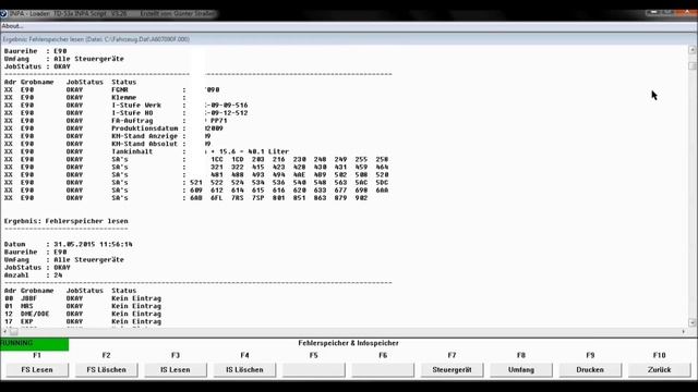 BMW INPA - Read out/delete fault memory - E90