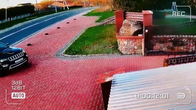 видео с камер видеонаблюдения Паши Пэла