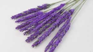 Лаванда из гофрированной бумаги. Поделки и декор своими руками