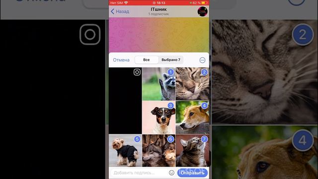 ТОПОВЫЕ ФИШКИ Телеграмма_#shorts смотреть онлайн