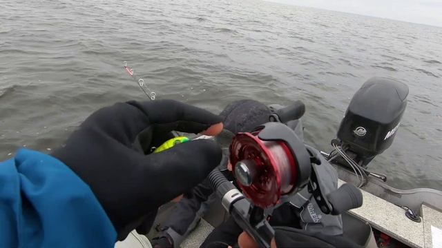 Бешеный клев судака на раттлины! Клюет один за другим! Рыбалка в отвес, на поролон и мандулы! смотреть онлайн