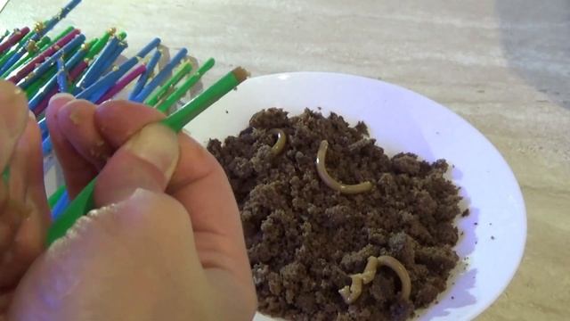 Dessert For Uninvited Guests Expectation Reality/десерт для непрошеных гостей ожидание реальность