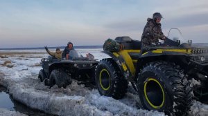 Битва Сокол против Снега