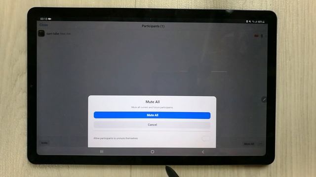 How to Use Zoom in S6 Lite : Best Tablet for Online Teaching смотреть онлайн
