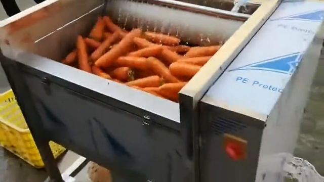 Машина для мойки и очистки корнеплодов, картофеля, моркови, свеклы Vega ST 800 смотреть онлайн