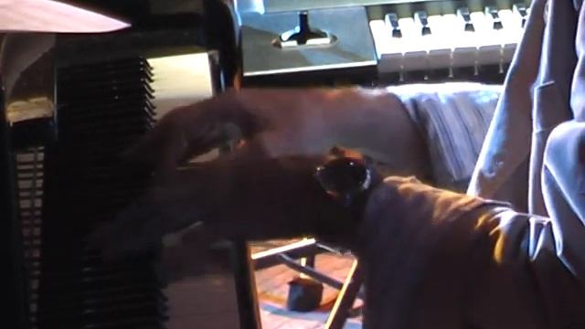 джазовая провинция 2009(1) смотреть онлайн