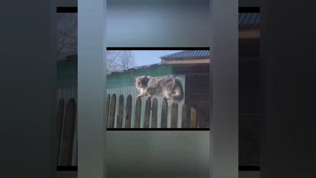 Стихи про домового Кузьму. смотреть онлайн