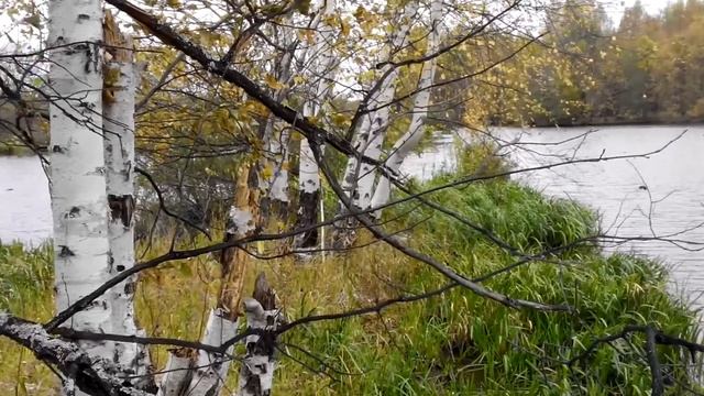 Рыбалка в Васильсурске поздней осенью смотреть онлайн