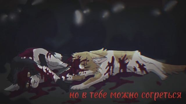 Быстролап и Веснянка~Каждый кто делал тебе больно покойник~Коты-Воители/ Клип смотреть онлайн