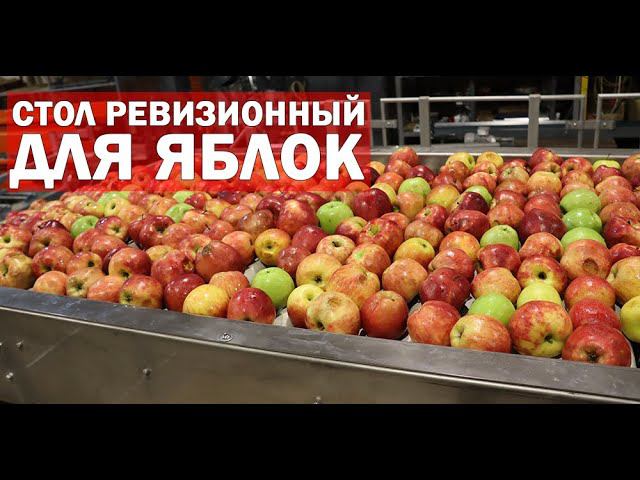 Инспекционный стол для фруктов (видео) смотреть онлайн