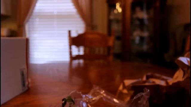 Unboxing Hygrophila Pinnatifida Aquarium Plants смотреть онлайн