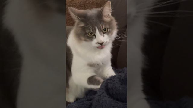 Намек😏 смотреть онлайн