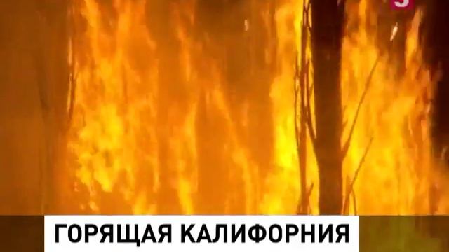 Более сотни домов подожгли в Калифорнии смотреть онлайн