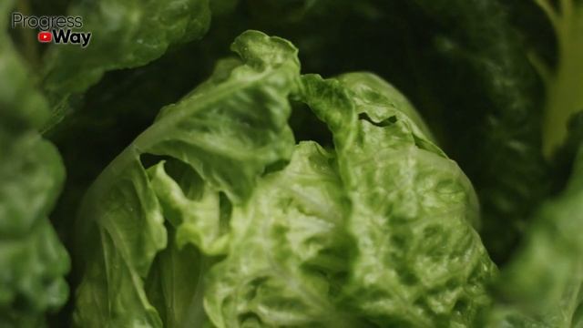 Что Посадить В Сентябре. Посеем Зелень Вместе! смотреть онлайн