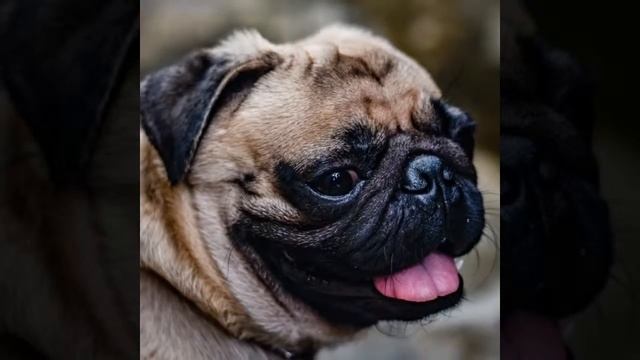 Nikon D7200 With Nikkor 50mm F/1.8g Samples #7