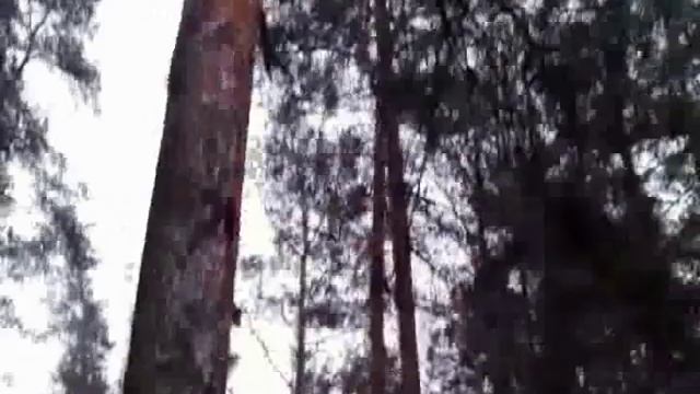 Воря Богородское 23 02 2014 Киловатт смотреть онлайн