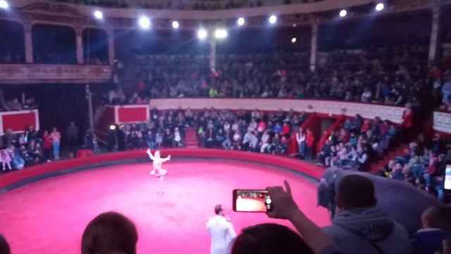 Одесский цирк сильные люди и слоны 5 часть.