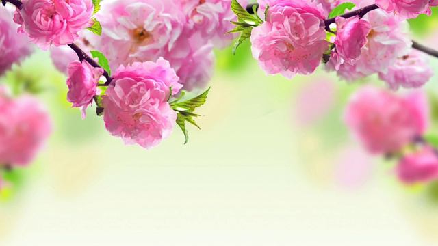 Marriage Restoration: Shift the atmosphere in your home! Dr. Trimm inspired Prayer. смотреть онлайн