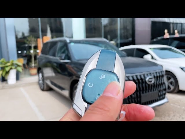 Новый GAC Trumpchi GS8 2022 гибрид смотреть онлайн