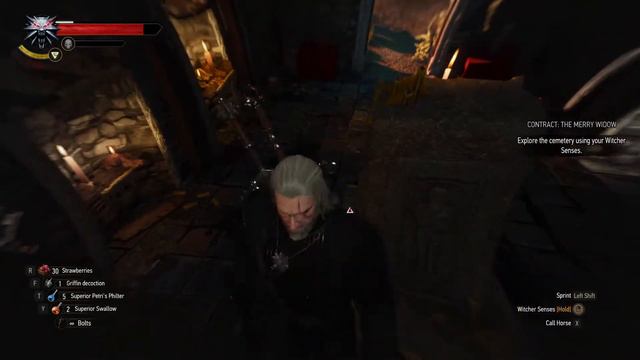 Witcher 3: Contract - The Merry Widow(New Game +, Immersive Cam) смотреть онлайн