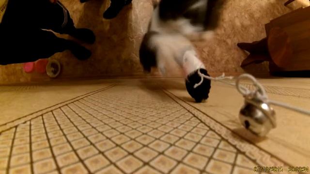 Кошка снупи Snoop Dogg - Run nigga run смотреть онлайн