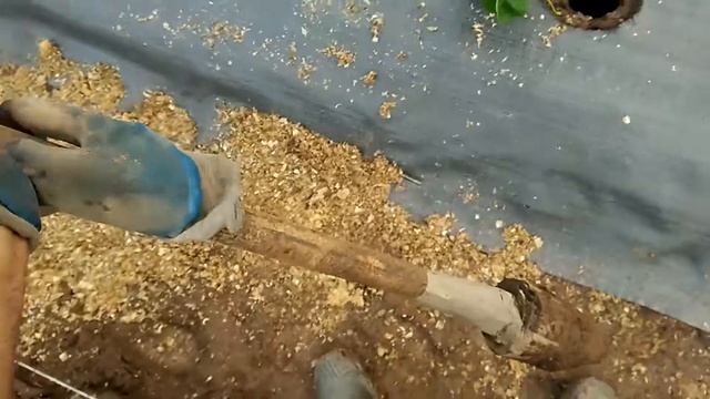 Приспособление для посадки рассады ЗКС. смотреть онлайн