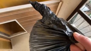 ЧТО ПОСТЕЛИТЬ СОБАКЕ В БУДКУ. НЕМЕЦКАЯ ОВЧАРКА