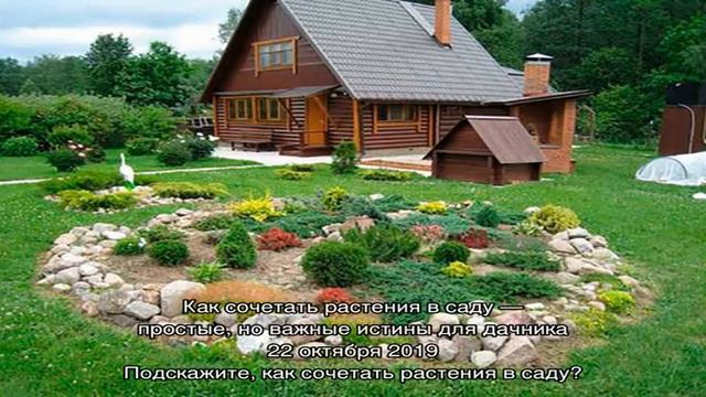 Записи с тегом 'растения' смотреть онлайн