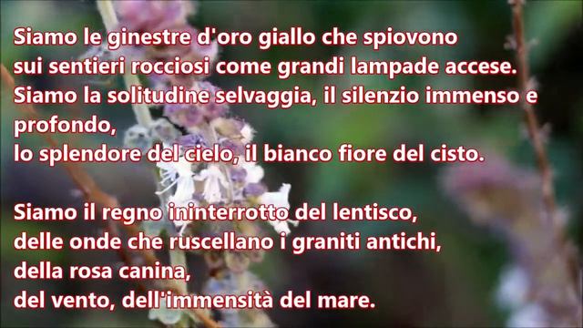 Noi Siamo Sardi - di Grazia Deledda - voce di Salvatore Linguanti смотреть онлайн