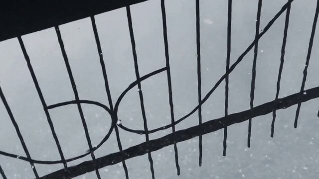 VID 20221007 190920 Москва (К. Бальмонт)...Павел Васильев Лахтинский смотреть онлайн