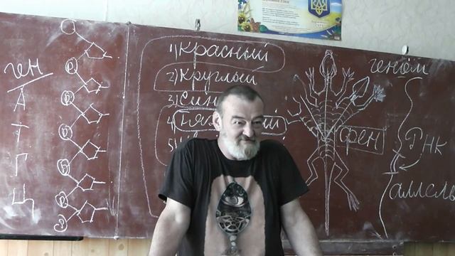 22 Аллели, фенотип, гомозиготность и гетерозиготность, доминантность и рецессивность смотреть онлайн