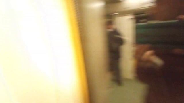 АПЛ. Поездка на поезде Русич от Пятницкого шоссе до Измайловской смотреть онлайн