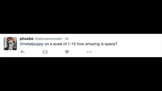 Me answering questions (+ chameleon) смотреть онлайн