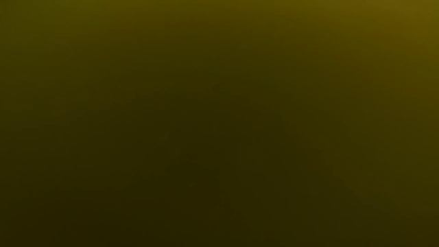 Лещи Заславского водохранилища на "точке" смотреть онлайн